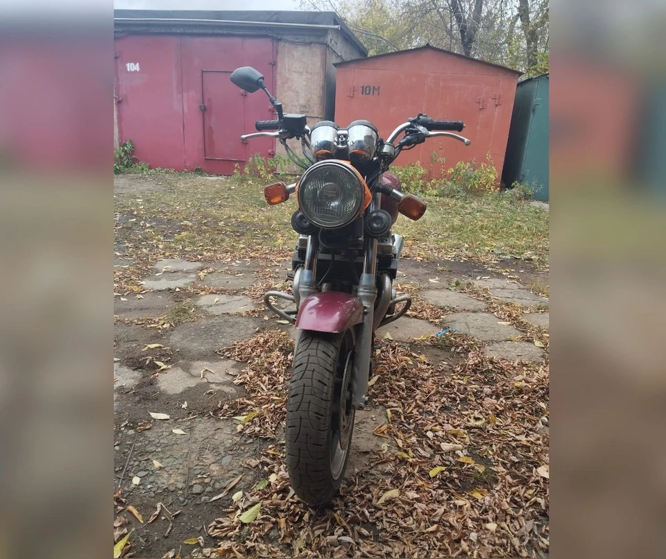 Дело расследуют в рамках Уголовного кодекса РФ. Фото: УМВД России по Омской области