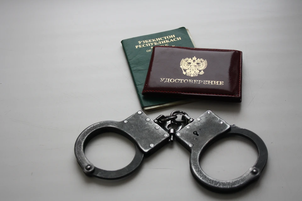 За минувшую неделю в сопровождении судебных приставов Самарскую область покинули 62 нелегала