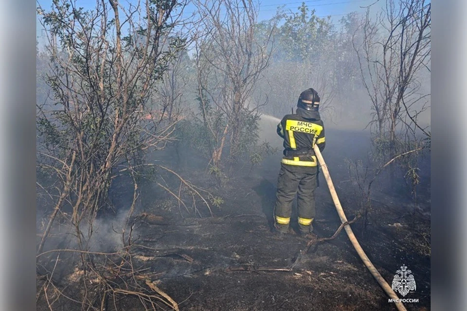 Два пожара потушили в регионе за сутки. Фото: ГУ МЧС России по Запорожской области