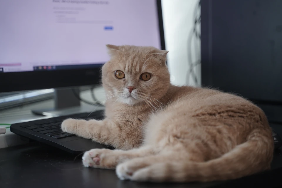 Интервью ветеранов Великой Отечественной войны стали публиковать на Ставрополье