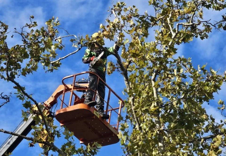 Работа в разгаре. Фото: sev.gov.ru