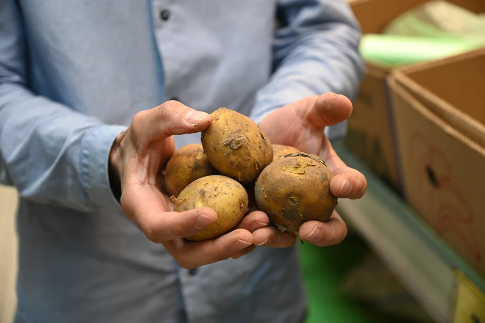 Ценники обновились в связи с поступлением в продажу отечественного урожая этого года