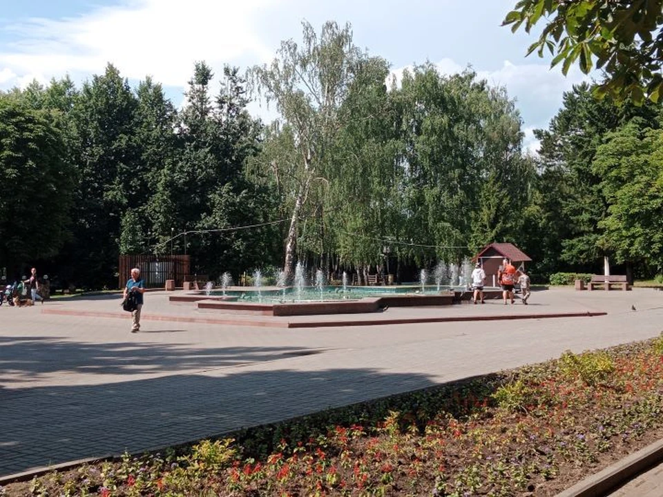 В первый день ноября пройдут дожди