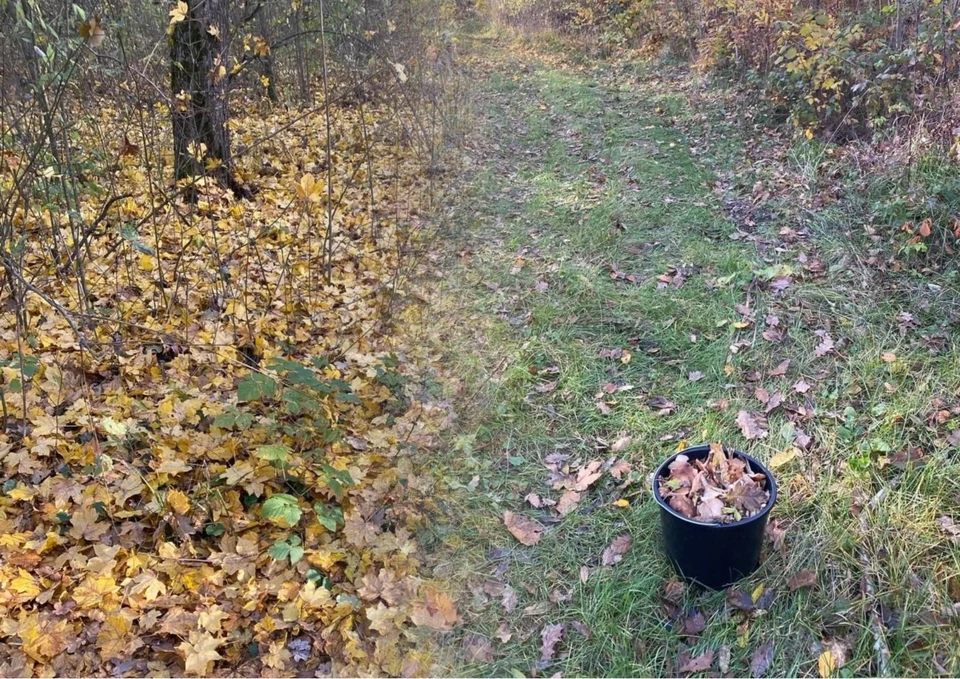 Ноябрь, о котором мы мечтали. Фото: коллаж КП