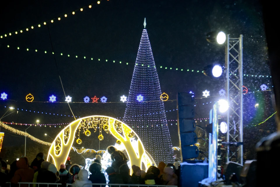 Новогоднюю ёлку разместят на площади Свободы