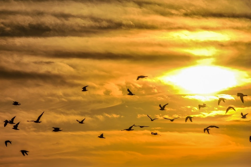 Сильные магнитные бури происходят из-за вспышек на Солнце