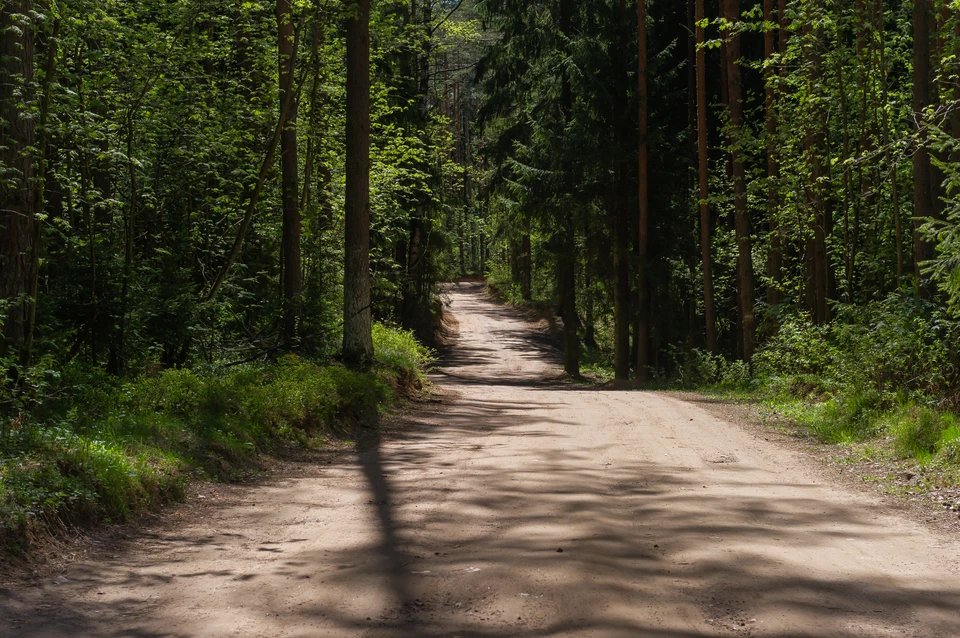 Все работы должны быть выполнены до 1 декабря.