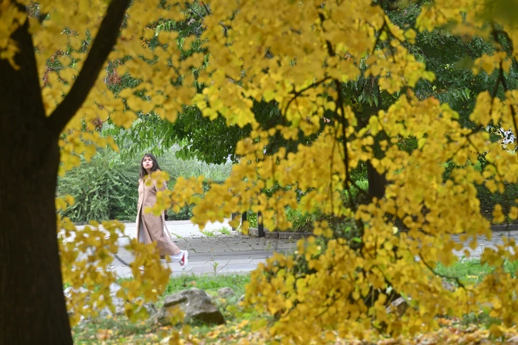 «Листья – настоящий “носитель” микробов»: чем опасны осенние фотосессии на Ставрополье