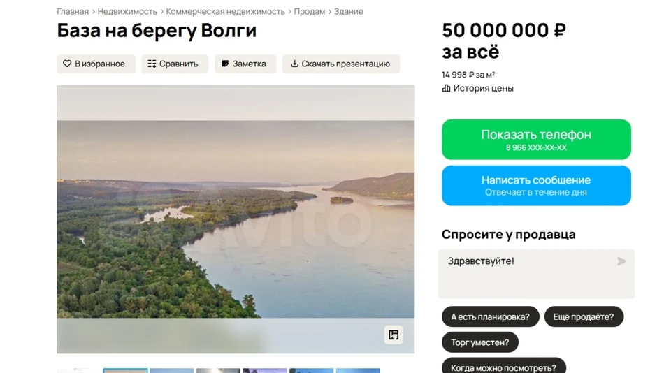 Участок продают за 50 млн рублей. Фото: Авито