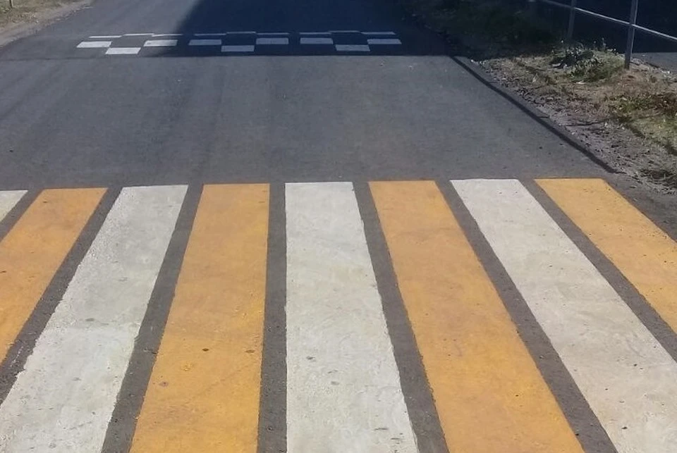 Обе пострадавшие пересекали проезжую часть дороги по нерегулируемым пешеходным переходам.