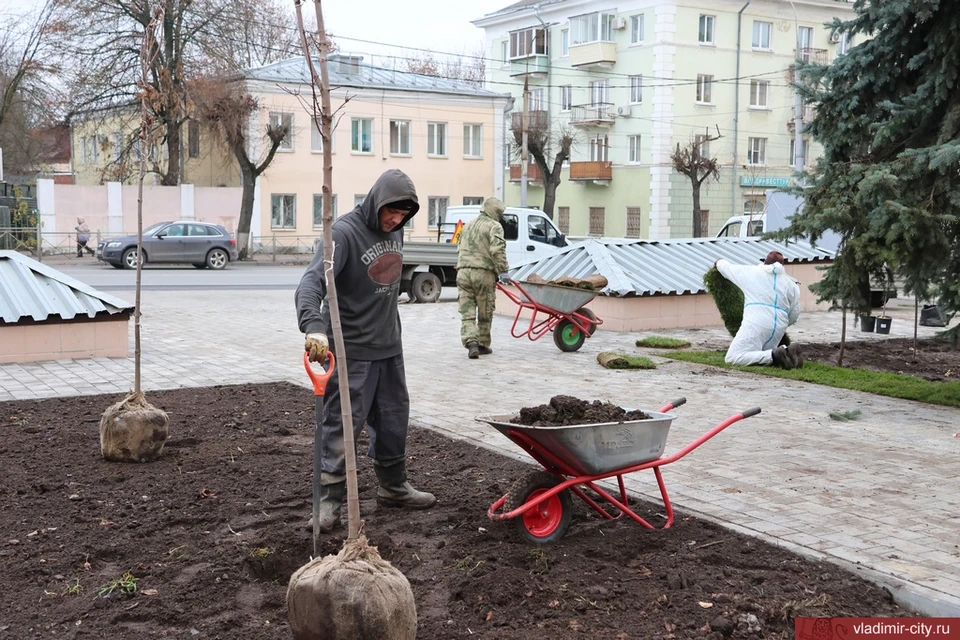 Фото: администрация города Владимира