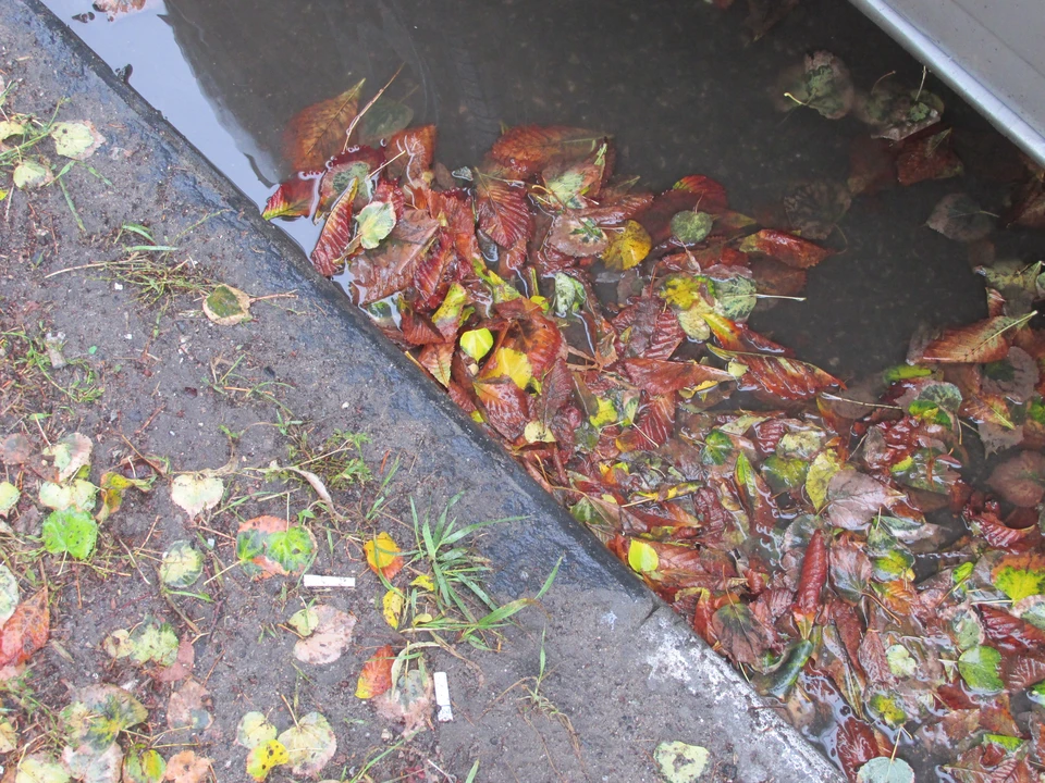 Фото Елены Федяшевой