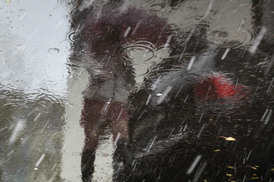 Синоптики обещают мокрый снег местами по региону.