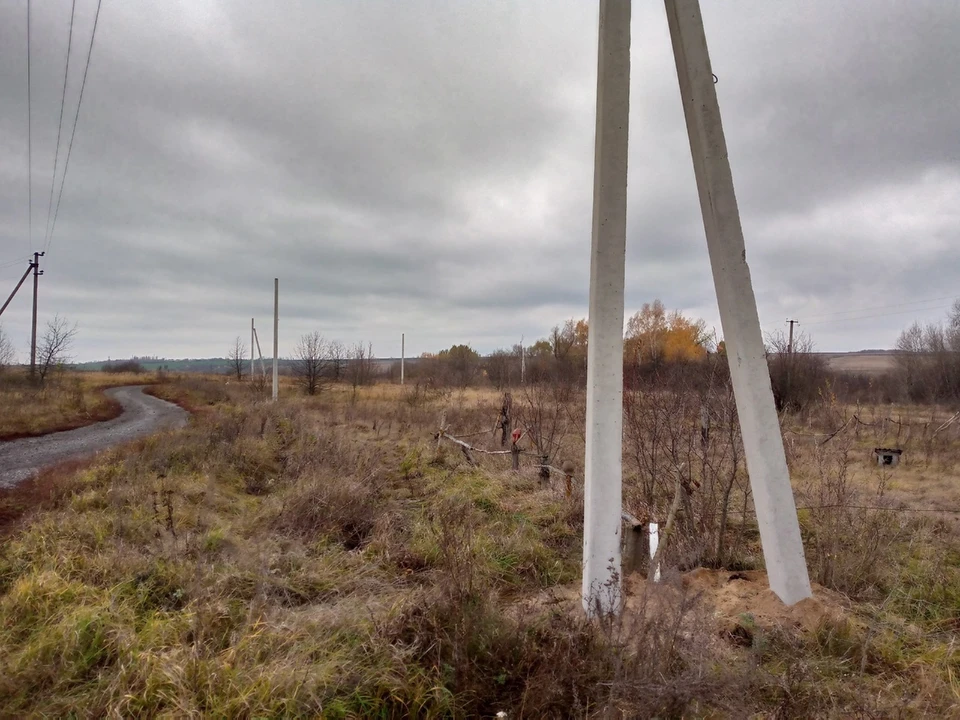 Фото Минприроды Воронежской области