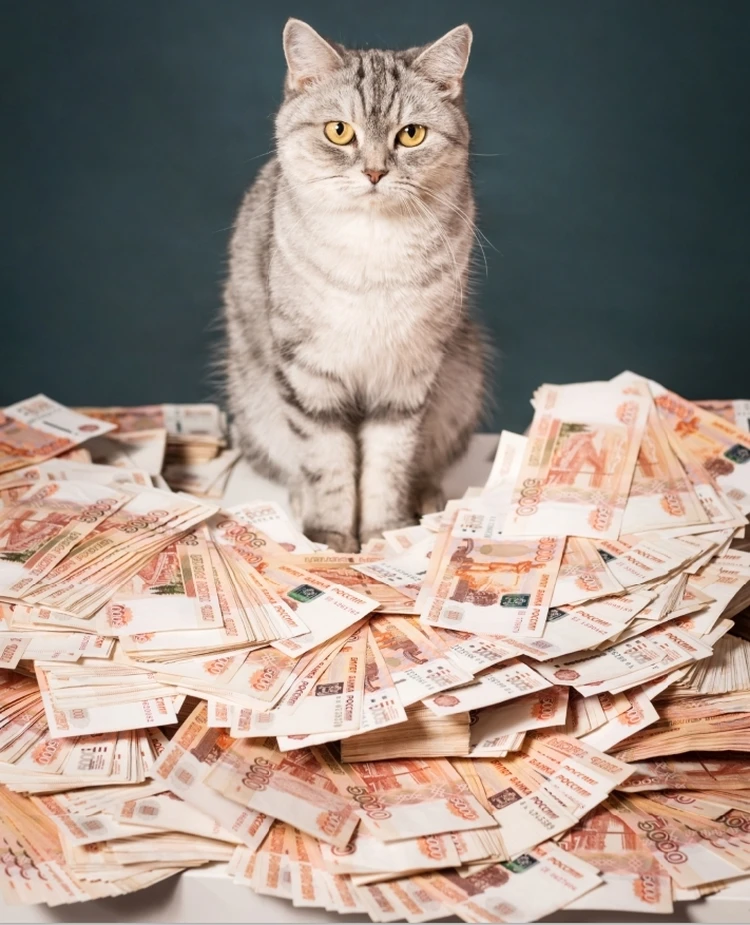 Государство даёт 360 тысяч рублей каждому. Узнай, как их забрать!