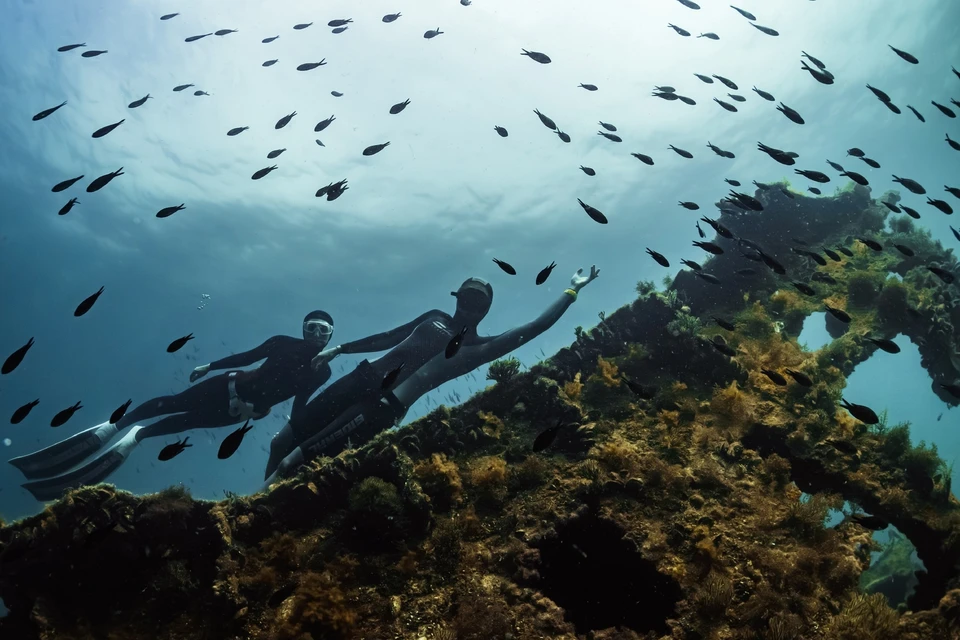 Фридайвер может долго наслаждаться морскими красотами. Фото: Павел Терехов