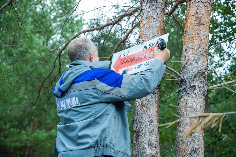Проект был запущен этим летом. Фото: vk.com/anocppl163