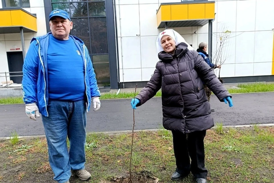Высадка деревьев в Новоайдаре