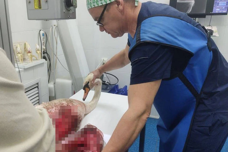 Фото: t.me/myufa_rb