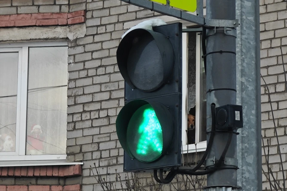 Соколов: на пешеходном переходе в кировском Урванцево появится светофор