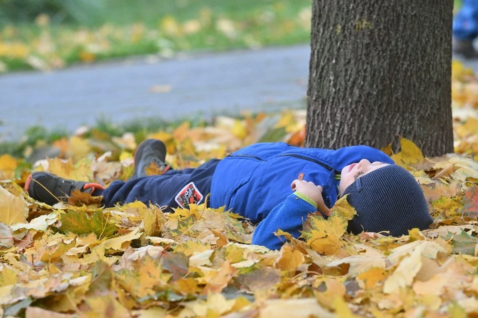 Ростовский психолог советует любоваться осенью и радовать себя приятными мелочами.