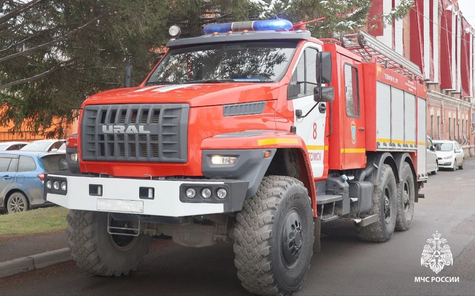 Фото: пресс-служба МЧС России по Томской области