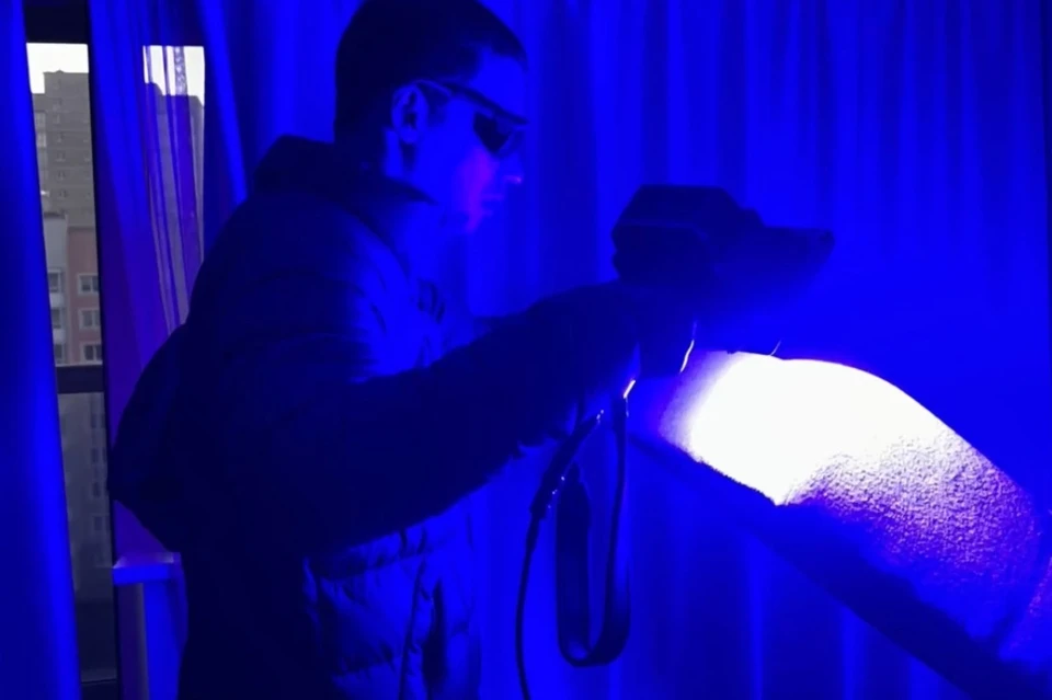 Фото: СК Челябинской области