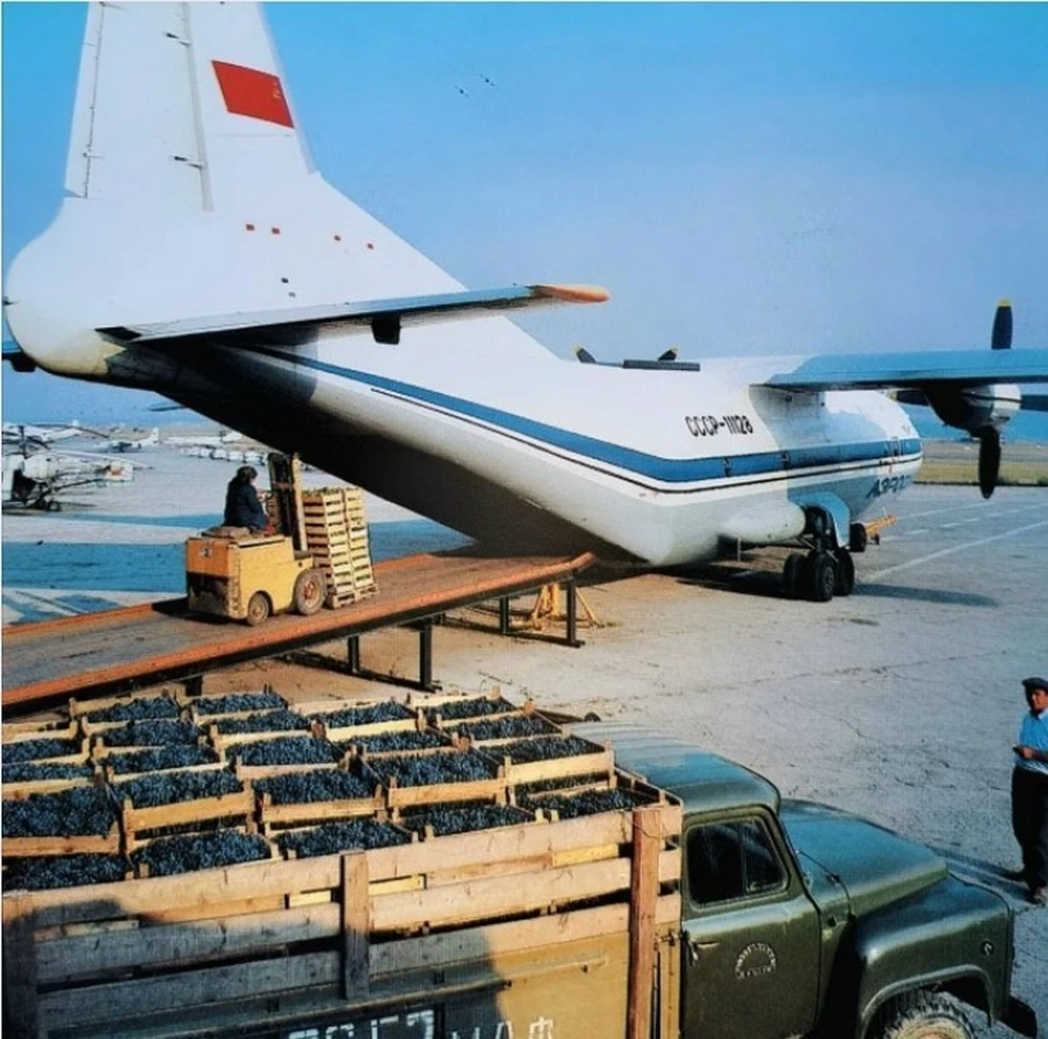 Неужели у нас когда-то так было? Фото: соцсети