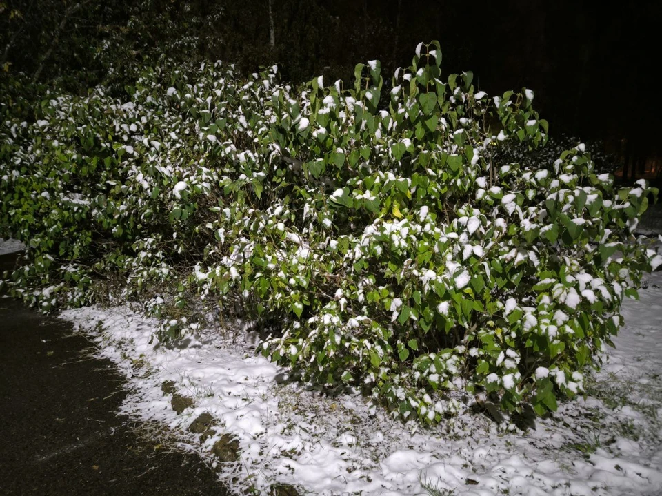 Фото: Анна Ковалева