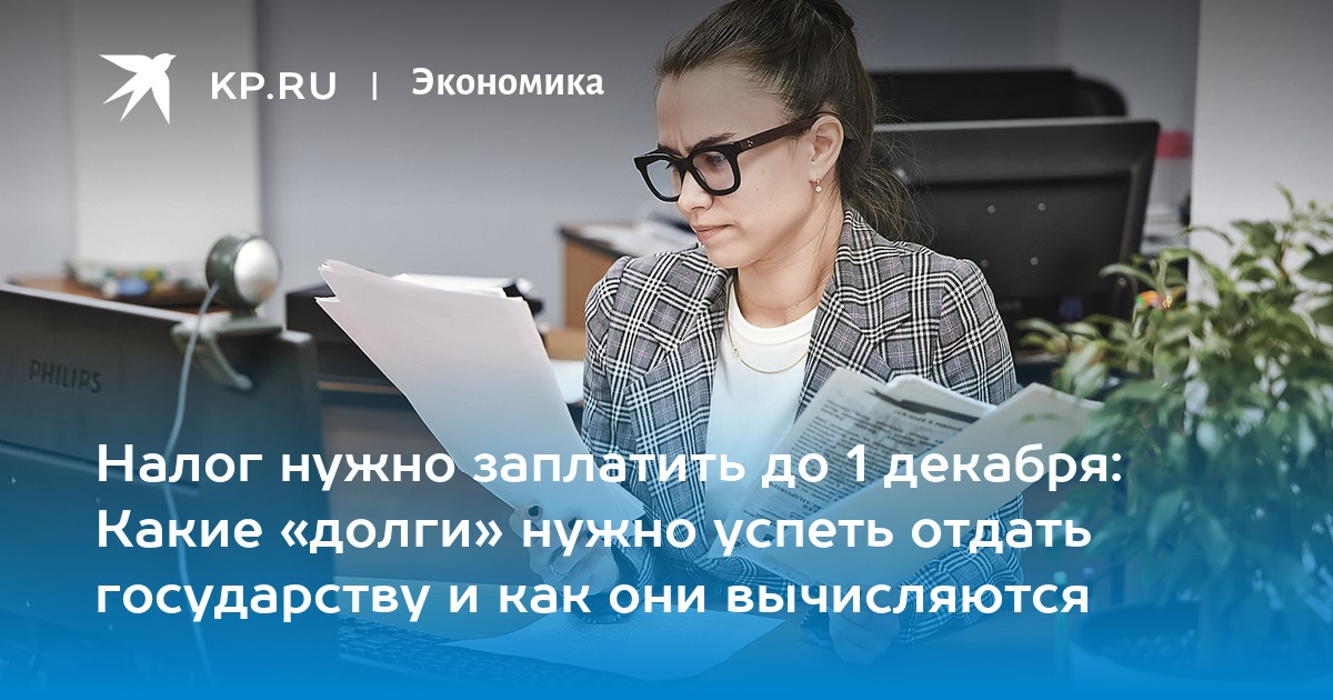 Налог нужно заплатить до 1 декабря: Какие «долги» нужно успеть отдать государству и как они вычисляются
