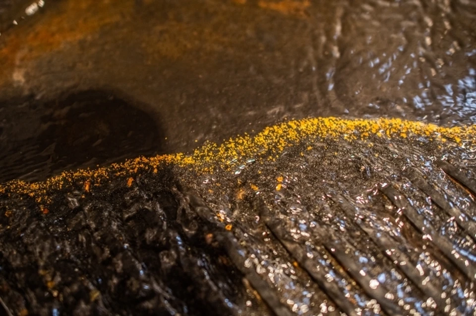 В Магаданской области осудят золотодобытчиков, загрязнивших почву ртутью