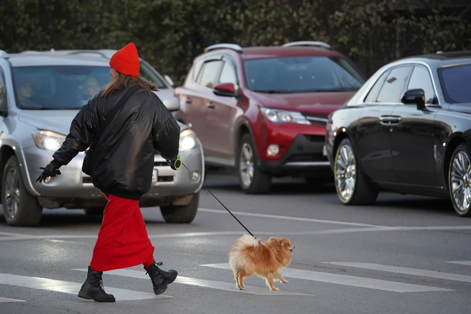 Из-за пешеходов на Минаевском мосту могут случиться ДТП. Фото: архив КП