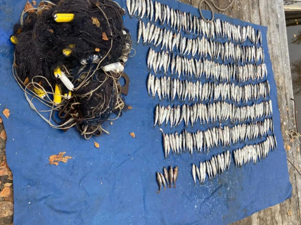 Всю рыбу тщательно пересчитали. Вологодский ЛО МВД России на транспорте.