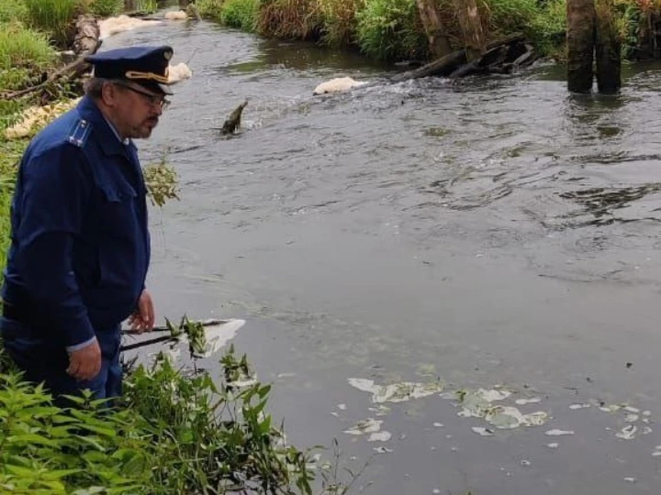 Фото прокуратуры Владимирской области.