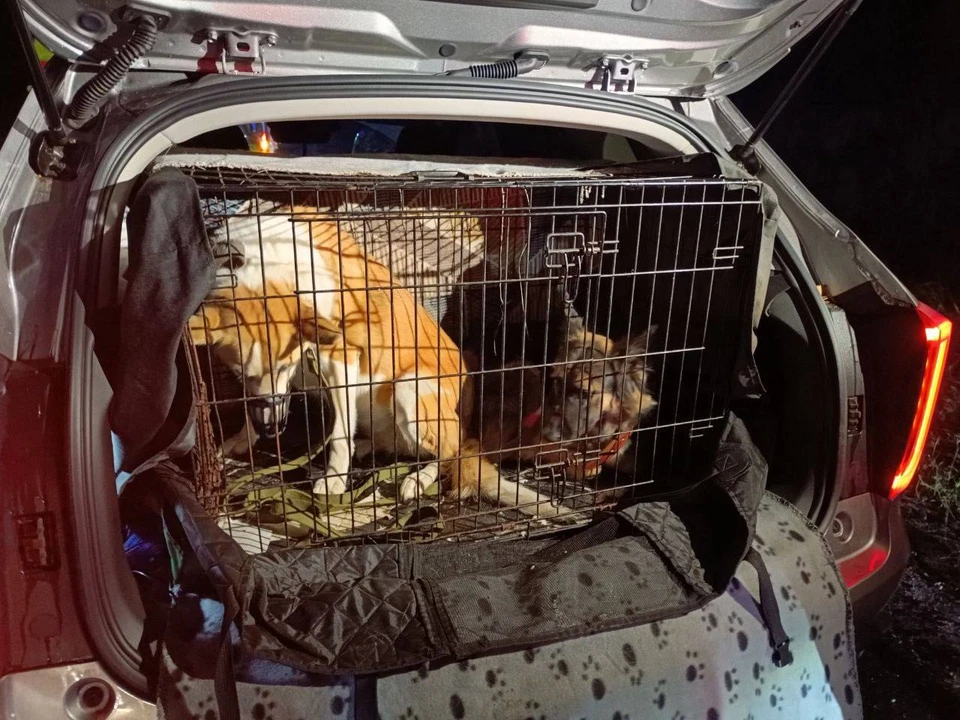 Фото: Министерство региональной безопасности Владимирской области