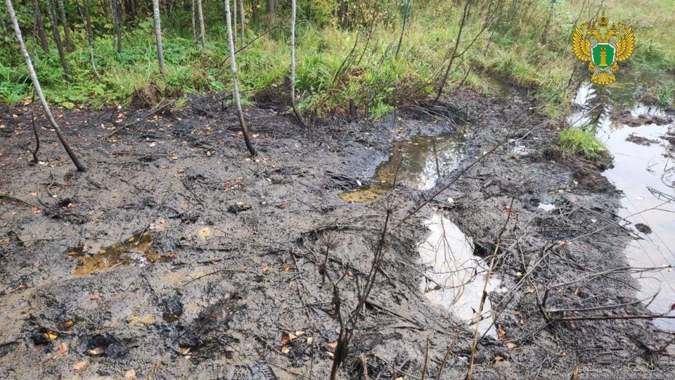 В Юсьвинском округе возбудили уголовное дело из-за разлива нефтепродуктов