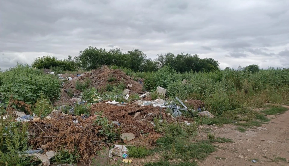 В результате контрольно-надзорных мероприятий удалось ликвидировать 13 свалок общей площадью 3,78 гектара. Фото: Россельхознадзор Оренбуржья