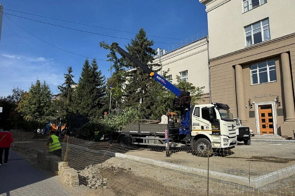 Особое внимание уделили озеленению. Фото: мэрия Новосибирска