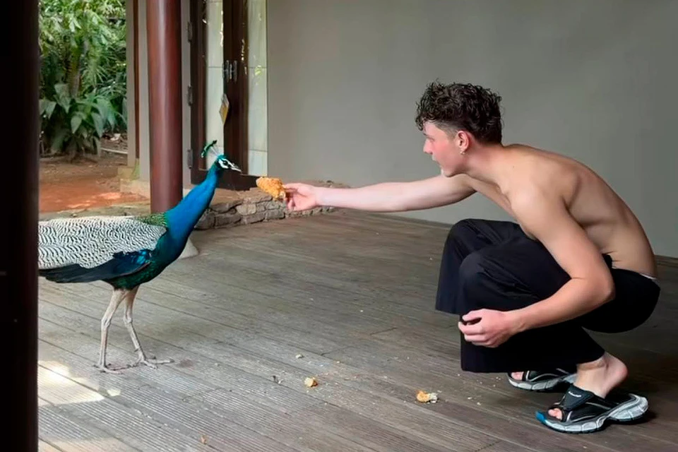 Ваня Дмитриенко и Анна Пересильд проводят романтический отпуск на Шри-Ланке