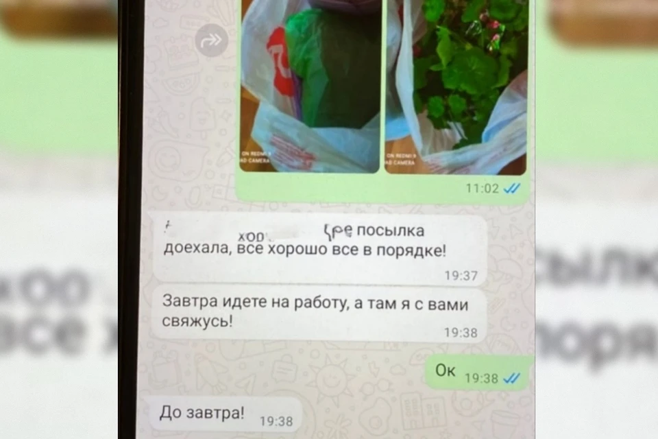 Чтобы спастись от уголовного преследования, она взяла отгул на работе и передала все сбережения. Фото: УМВД России по Тверской области.