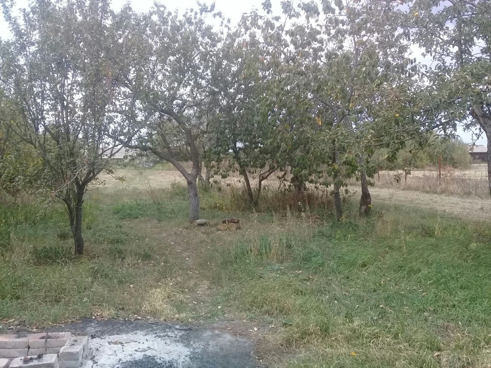 Из-за обнаруженного инфицированного животного весь населенный пункт объявлен зоной риска заражения.