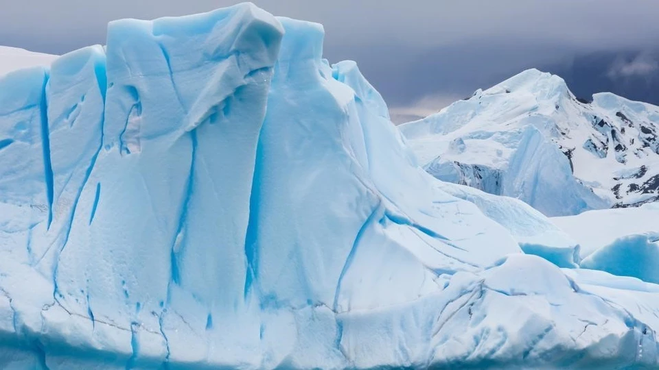 Шельфовые ледники