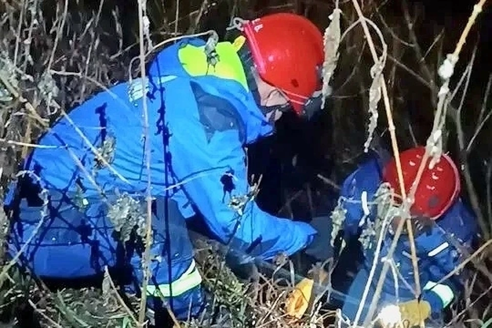 Собаку спасли и вернули хозяйке. Фото: Поисково-спасательная служба Удмуртии