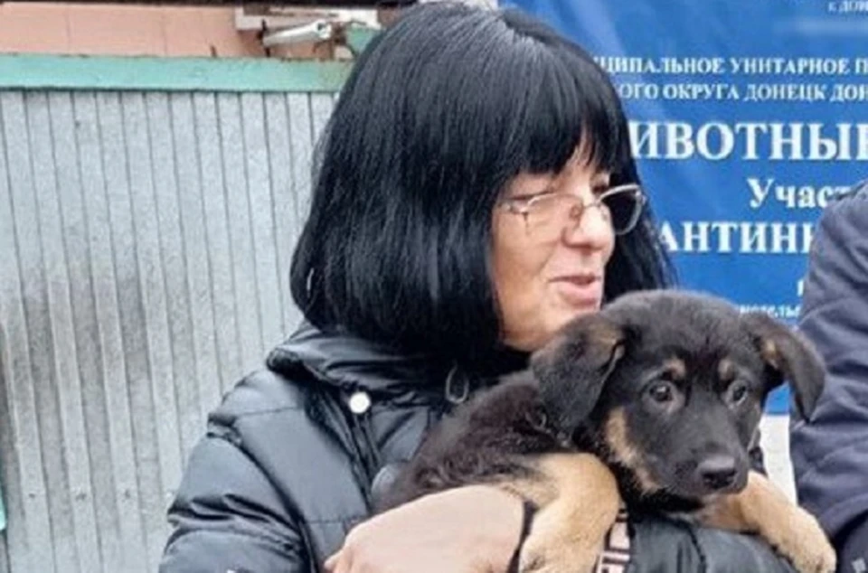 Бездомные «пушистики» нуждаются в доме и любящих хозяевах. Фото: Администрация Донецка