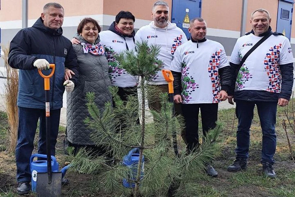 В Республике восстанавливают леса. Фото: Минприроды ДНР
