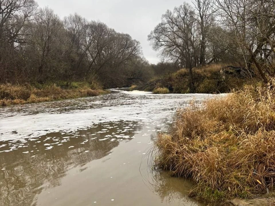 Фото из телеграм-канала Владимирской области.