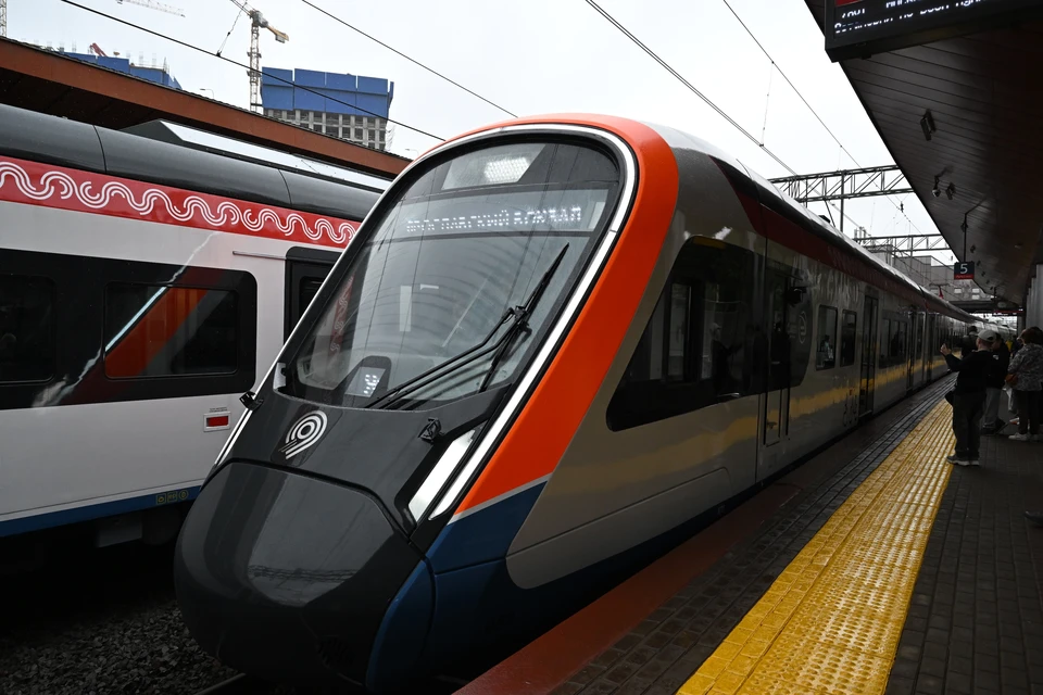 Интервалы движения пришлось увеличить на БКЛ в Москве из-за человека на путях