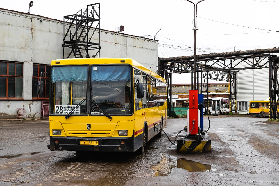 Новые автобусы приступят к работе весной 2026 года