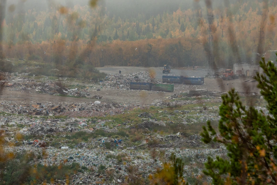 Мэрия Петропавловска-Камчатского заплатит за свалку на Халактырском пляже