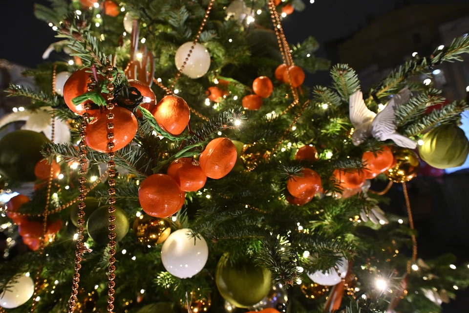 Фото: Архив КП